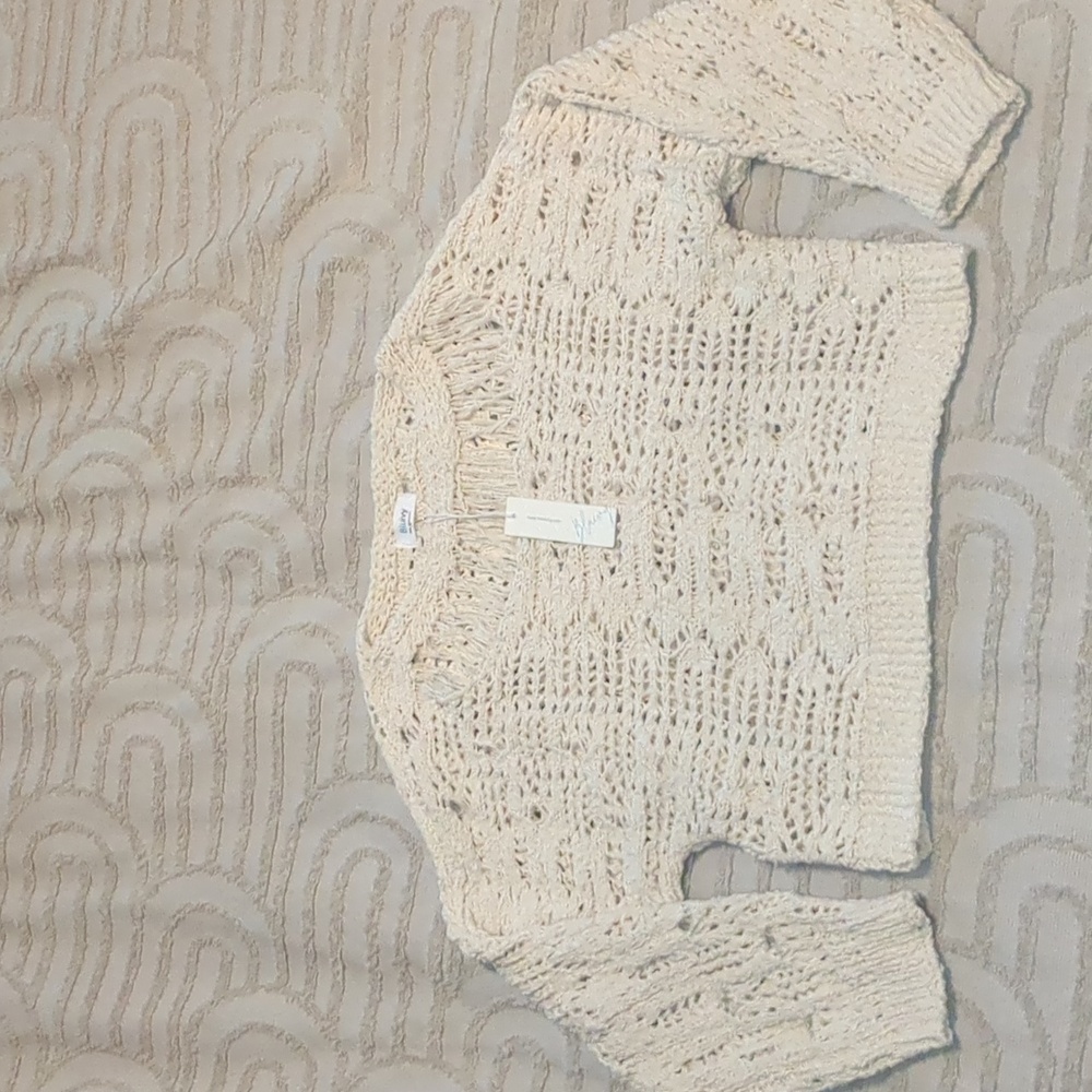 Never worn BluIvy Sweater